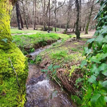 O Largo * Vigo