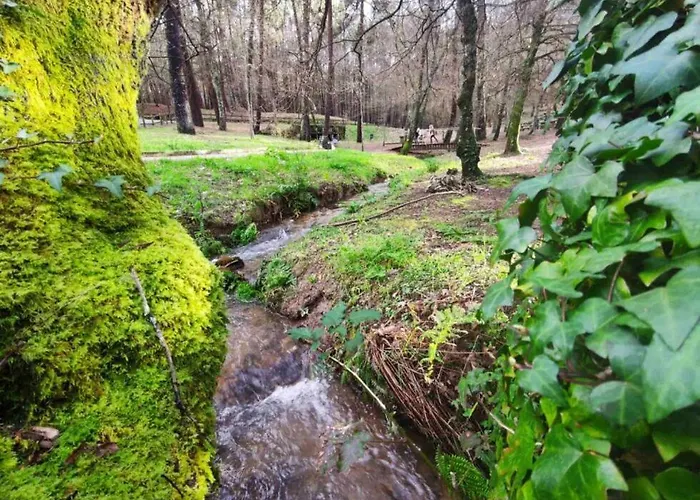 O Largo * Vigo